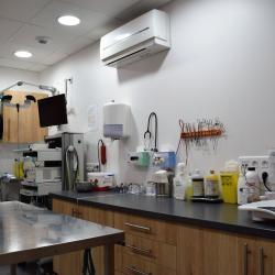 Sas Clinique Vétérinaire De Baleone