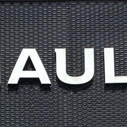 Sas Delpech Renault