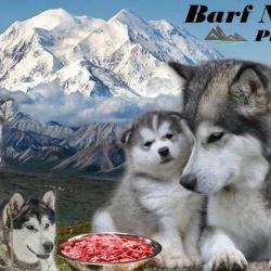 Dobiguard-shop - Barf Naturel