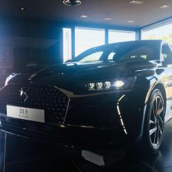 Sas Ets Marlaud - Ds Salon Albi