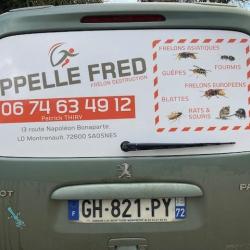 Sas Fred