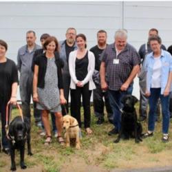 Sas Garage Patrick Quersin - Sosparebrise +