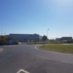 Sas Maxoce ( Indoorland )