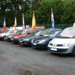 Sas Rep Cass Auto