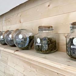 Satibud Dream Cbd Shop