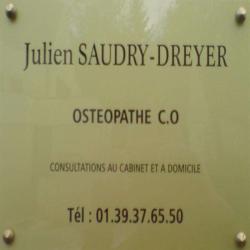 Saudry Dreyer Julien