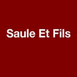 Saule Et Fils