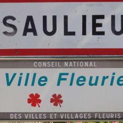 Saulieu