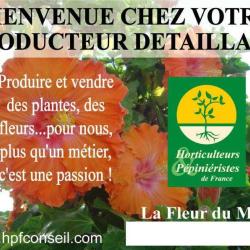 Saunier