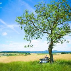 Photographe Sauvage Raphael - Photographe Strasbourg