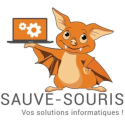 Sauve Souris Informatique