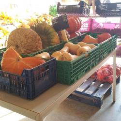 Saveurs Du Portugal