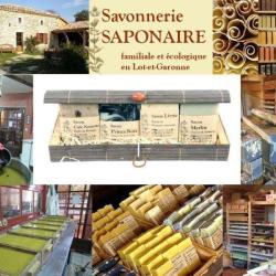 Savonnerie Saponaire