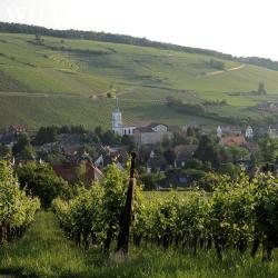 Sc Domaine D'ittenwiller