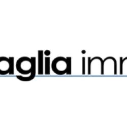Scaglia Immo