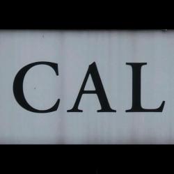 Scalp