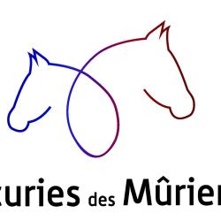Scea Les Ecuries Des Muriers