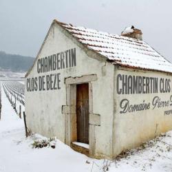 Scev Domaine Damoy Pierre