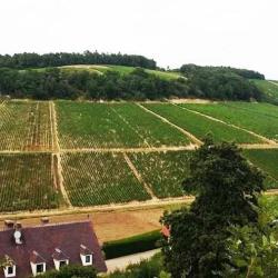 Scev Domaine Gautheron Alain Et Cyril