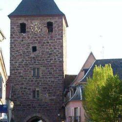 Schaditzki Patisserie
