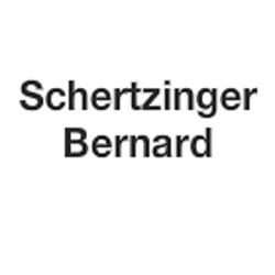 Schertzinger