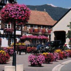 Scherwiller