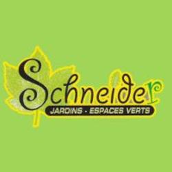 Schneider Sylvain