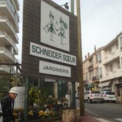 Schneider Soeur