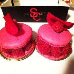 Scholler