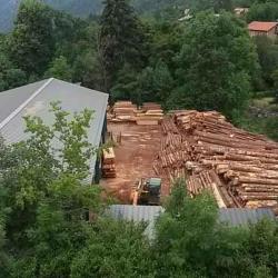 Scierie Du Mercantour