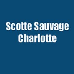 Scotte Sauvage Charlotte - Dumoulin Isabelle Infirmiere Liberale