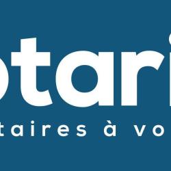 Scp Notariis