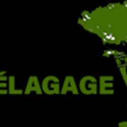Sd Elagage 77