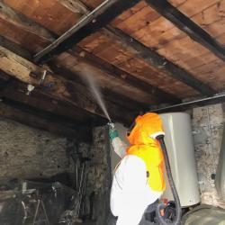 Sd Traitement Termites
