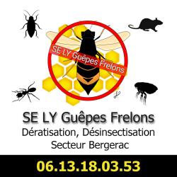 Se Ly Guepes Frelons