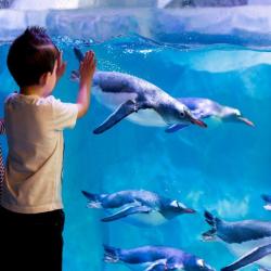 Sea Life Val D'europe