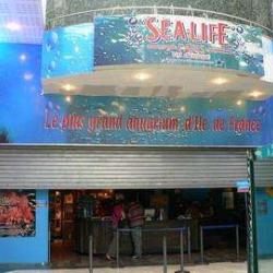 Aquarium  Sealife