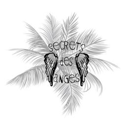 Secrets Des Anges