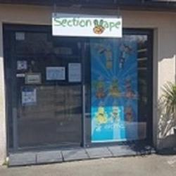 Section Vape