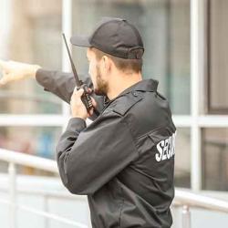 Securite Maitre Chien