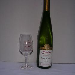 Sélig Jean-michel