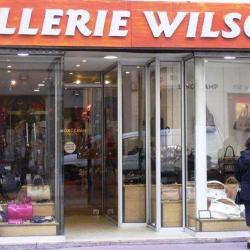 Sellerie Wilson