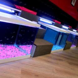 Sensory Spa