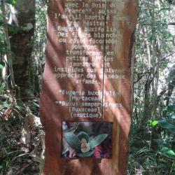 Sentier Botanique De Cilaos