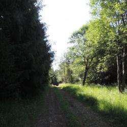 Sentier D'interprétation