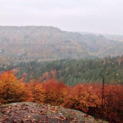 Sentier Du Loosthal