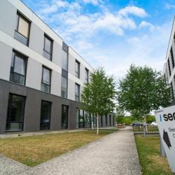 Sergic Gestion Et Location