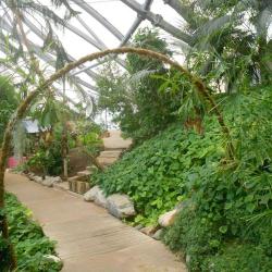 Serre Tropicale Des Antilles De Jonzac