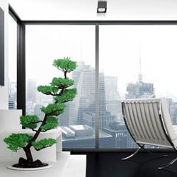 Servane Immobilier