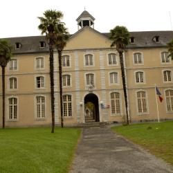 Service Départemental Des Solidarités Et De L'insertion (sdsei) Haut-béarn